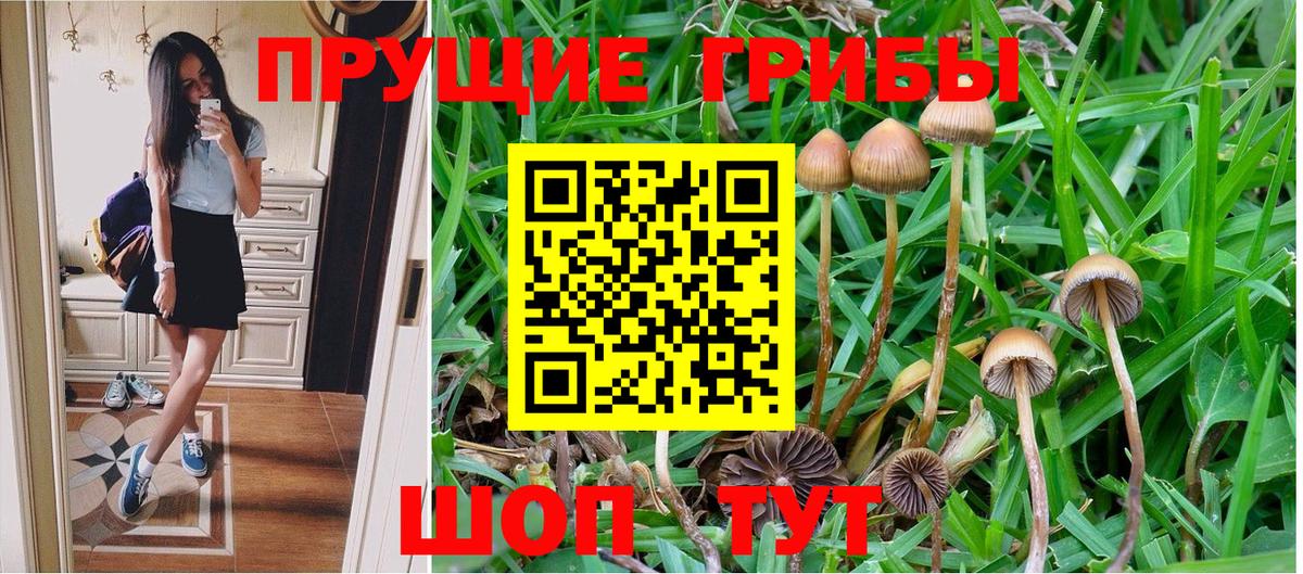 Кулебаки  Галлюциногенные грибы прущие грибы  Псилоцибиновые грибы MAGIC MUSHROOMS  Вход с VPN 